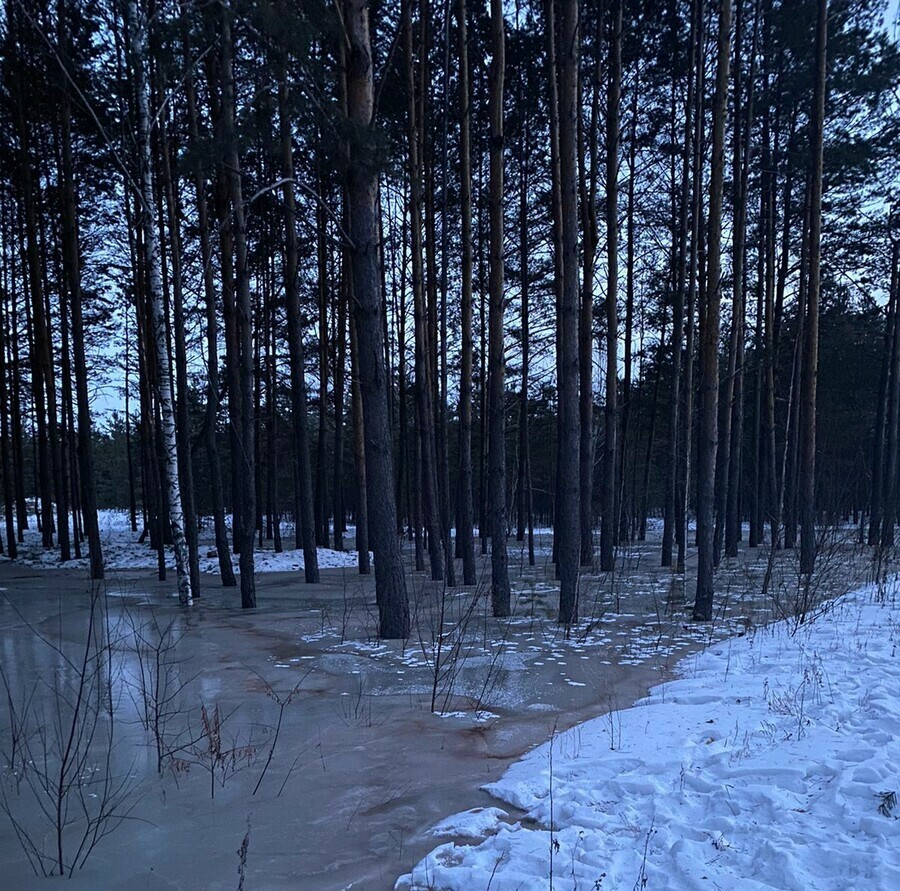 В Циолковском прорвало канализацию 