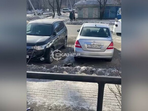 Беличьи бега водителей Благовещенска просят быть внимательнее видео 