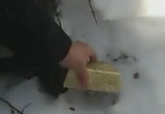 В Амурской области задержали подозреваемых в краже более 60 килограммов золота