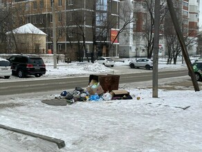 Город погряз в мусоре благовещенцы попросили у мэра провести глобальную акцию Чистый город