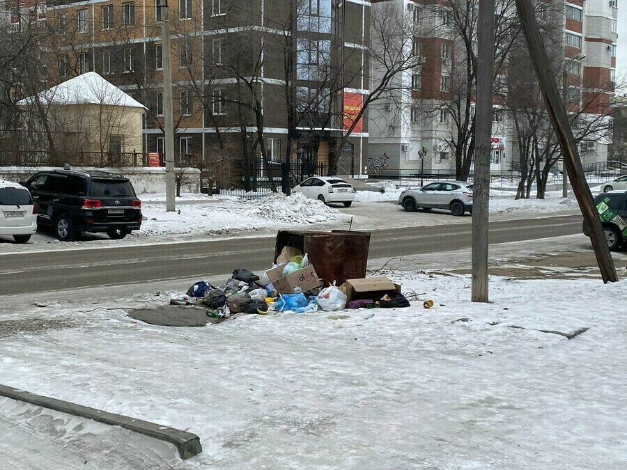 Город погряз в мусоре благовещенцы попросили у мэра провести глобальную акцию Чистый город