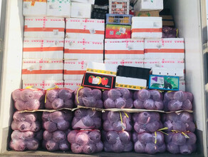 Карамбола лонган мангостин Среди плодов привезенных в Приамурье из КНР преобладает экзотика