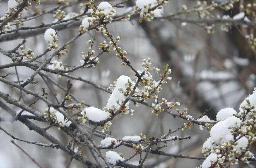 Усиление ветра снег прогноз погоды в Амурской области на 2 марта