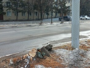 Как на это повлиять В центре Благовещенска вырубили деревья напротив правительства фото 