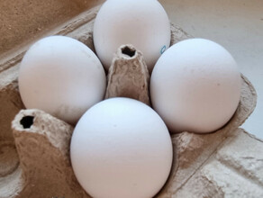 Амурское предприятие едва не отправило в продажу куриные яйца с истекшим сроком годности