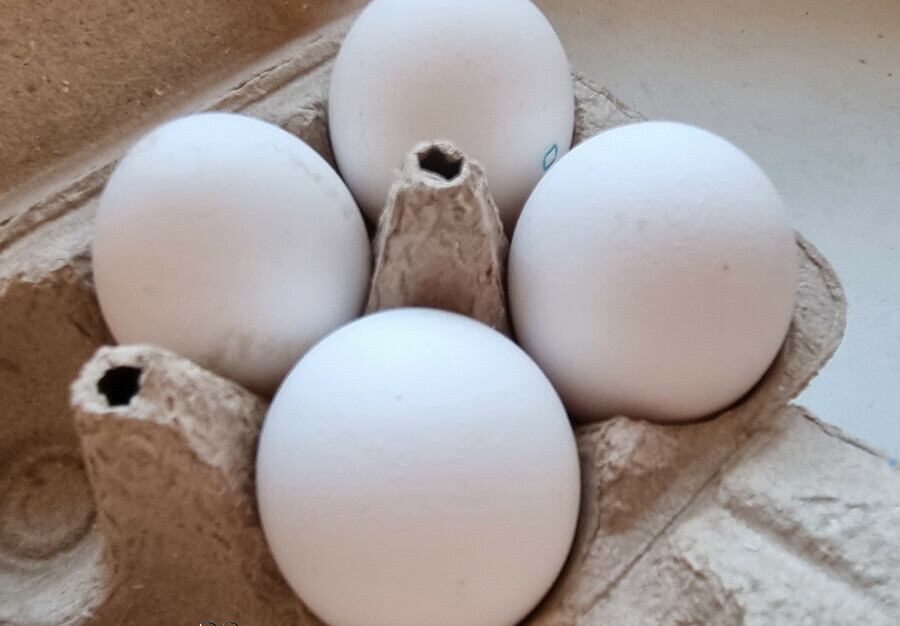 Амурское предприятие едва не отправило в продажу куриные яйца с истекшим сроком годности