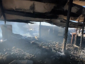Амурские пожарные спасали скот из горящего коровника около Благовещенска видео