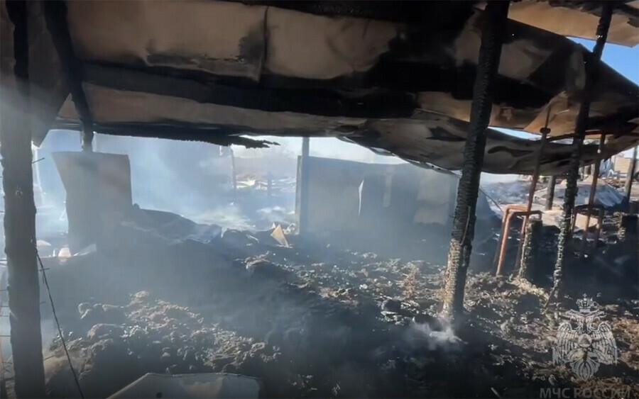 Амурские пожарные спасали скот из горящего коровника около Благовещенска видео