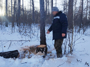 Амурчанина будут судить за то что в лесу по его вине погибла его жена