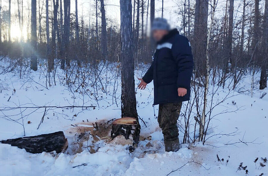 Амурчанина будут судить за то что в лесу по его вине погибла его жена