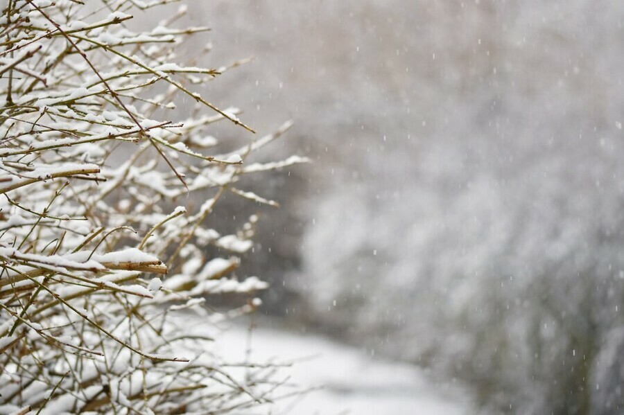 Амурскую область ждет обещанная непогода пойдет снег прогноз погоды на 8 марта