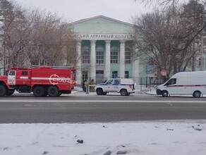 Из учебных заведений Благовещенска вновь эвакуируют людей изза сообщений о минировании обновлено