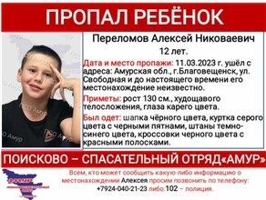 В Благовещенске сутки ищут 12летнего мальчика