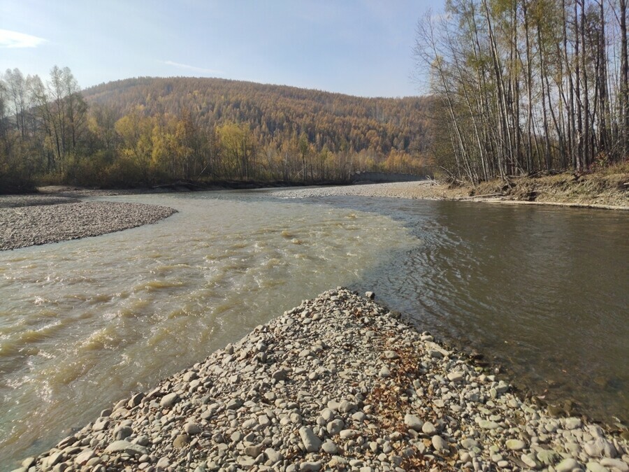 В Приамурье выявлено более сотни случаев загрязнения водоемов от деятельности золотодобытчиков 