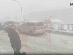 На Владивосток обрушился мощнейший снегопад с ветром до 27 метров в секунду фото видео