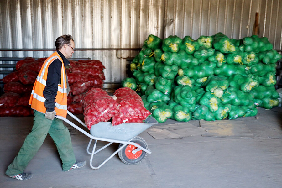 Килограмм овощей в день. Фрукты овощи Благовещенка. Ответ на зиму запасли 350 килограмм овощей фото.