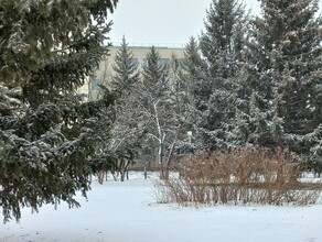 Весна просит передать что задерживается прогноз погоды в Приамурье на 16 марта