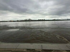 Возник паводок в Амурской области проходят командноштабные учения по ликвидации ЧС