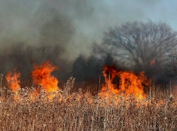 Перед сезоном пожаров в Приамурье ликвидируют свалки и выжигают сухую траву