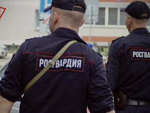 Амурчанин за пьяное вождение приговорен к 450 часам работ у него конфисковали автомобиль и  права
