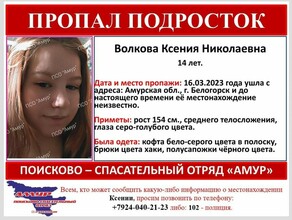 Не выходит на связь третьи сутки 14летнюю девочку ищут в Белогорске 