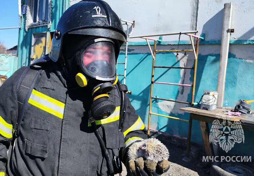 Две маленькие жизни спасли из огня амурские пожарные видео