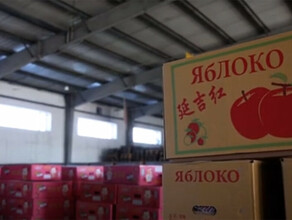 Поставки свежих овощей и фруктов из Хэйхэ в Благовещенск увеличился на 50  