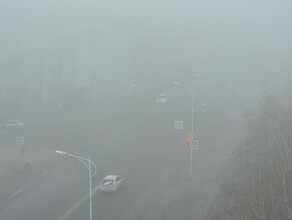На улицах Благовещенска изза невероятно густого тумана видимость упала почти до нуля фото