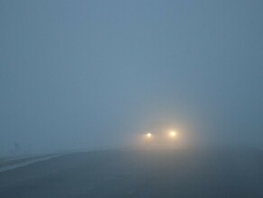 ГИБДД Приамурья предупредило об опасности использования дальнего света в тумане