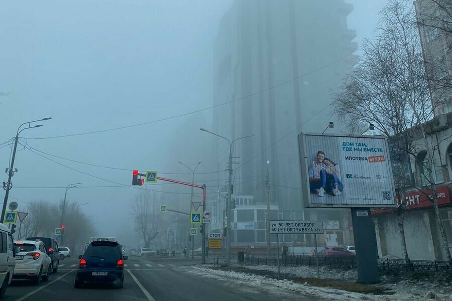 Причины густого мартовского тумана показали со спутника амурские синоптики фото 