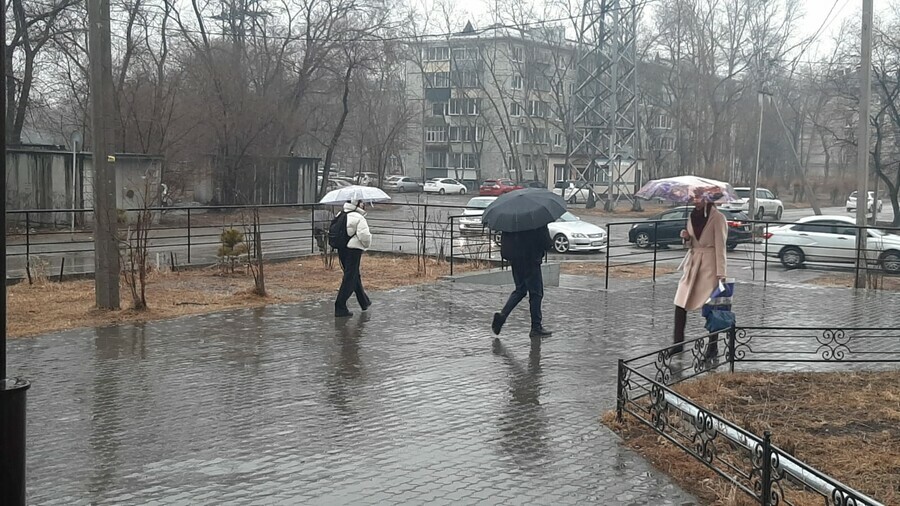 На Благовещенск пролился первый весенний дождь