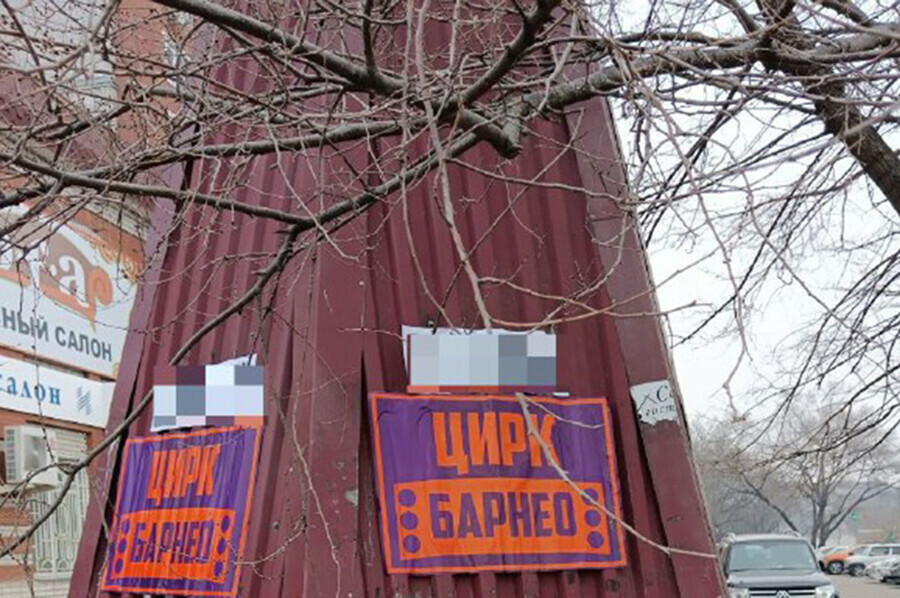 Красноярский цирк заплатит Благовещенску деньги за незаконную расклейку рекламы