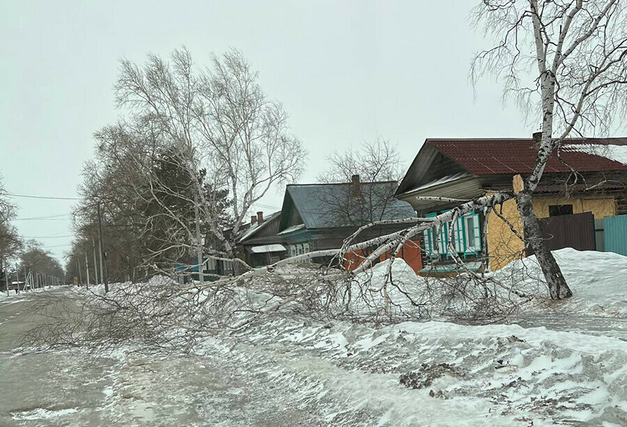 Упавшие деревья и крыши оборванные провода в Зее бурно похозяйничала непогода видео
