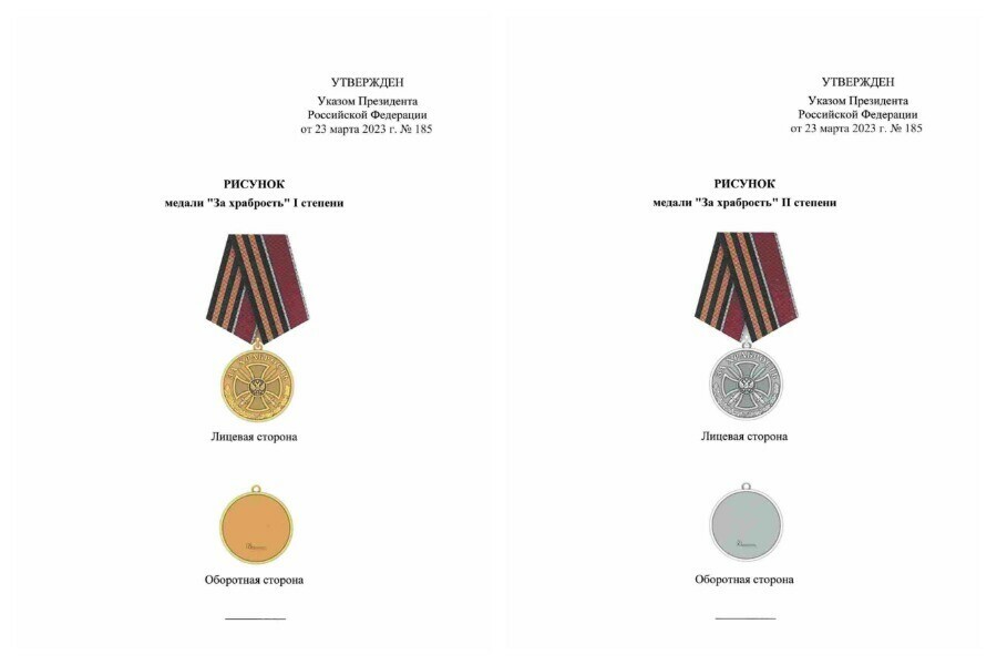 Президент России учредил медаль За храбрость двух степеней