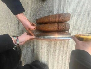 Недалеко от Амура экскаватором выкопали неразорвавшиеся снаряды фото видео