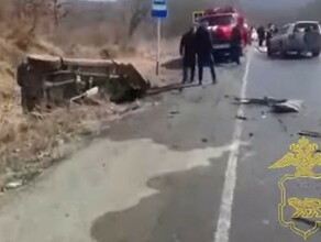 В Приморье водитель устроил жесткое лобовое столкновение и убежал в лес видео 