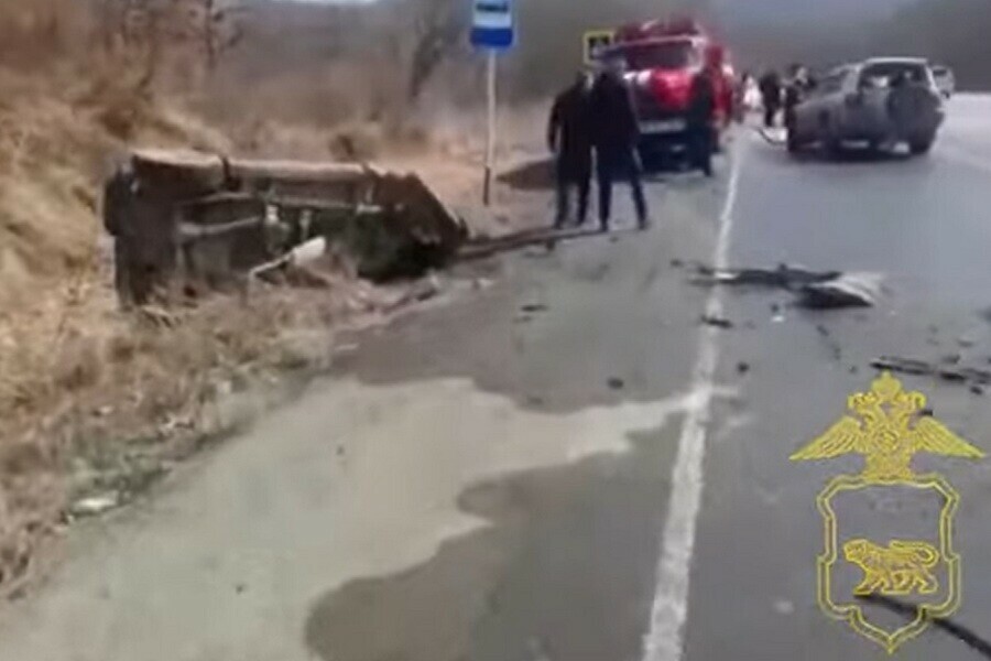 В Приморье водитель устроил жесткое лобовое столкновение и убежал в лес видео 