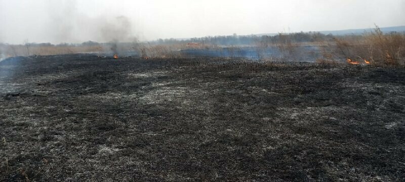 Особый противопожарный режим вводится в Амурской области