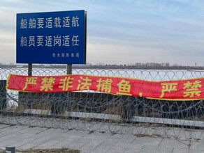 Соцсети Китая на набережной Амура у пункта пропуска натянута колючая проволока