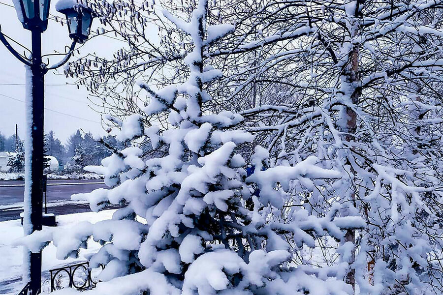 Северные районы Приамурья накрыло снегом В соцсетях появились красивые фото на дорогах  проблемы