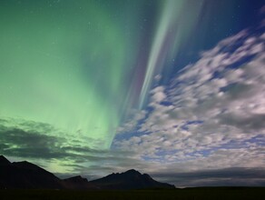 Гороскоп 4 июня Близнецов ждет хорошее известие а Львам пора сделать первый шаг