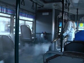 Дело двух минут Благовещенские автобусы от коронавируса защищают туманом