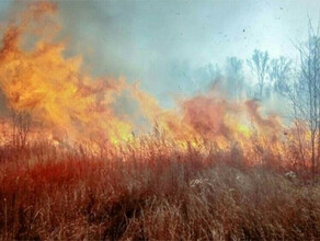 Тушить пожар в селе Грибском пришлось соседям мужчины устроившего пал в огороде