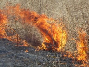 В Приамурье задержали поджигателя травы вблизи жилых домов не сумевшего объяснить свои действия  