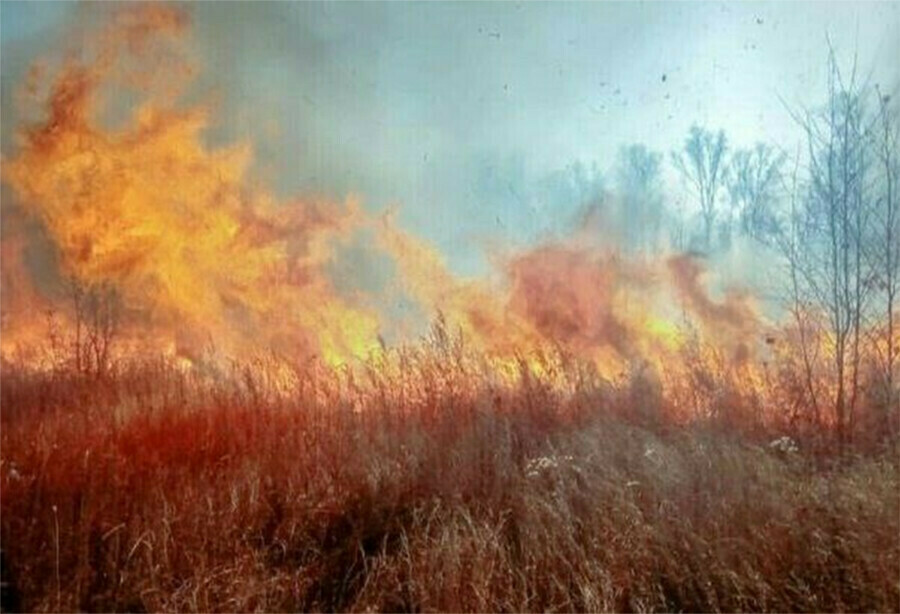 Привет с дымком от соседей в Приамурье доносит дым от пожаров в Китае
