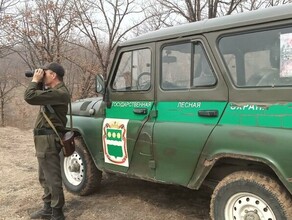 Амурские лесничества предупреждают о штрафе в 40 тысяч рублей