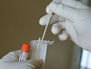 Заболеваемость гриппом ОРВИ и COVID19 снижается в Амурской области