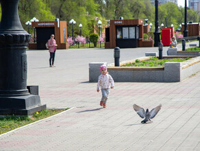 По федеральной оценке в Благовещенске сложилась благоприятная городская среда 