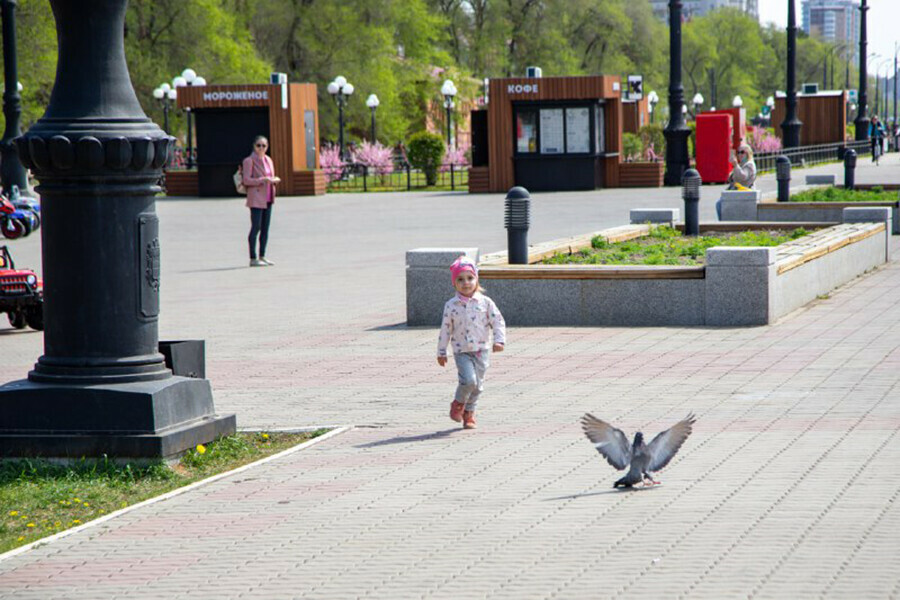 По федеральной оценке в Благовещенске сложилась благоприятная городская среда 