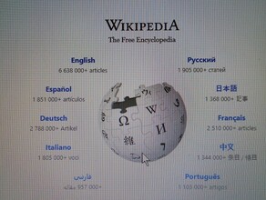 Глава СПЧ считает необходимым закрыть Википедию